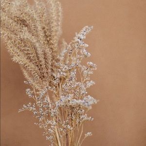 Meet your Posher, Denisse